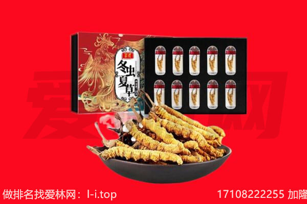 嘉黎县回收虫草.jpg